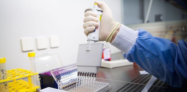 В Онкоинститут привезли дефицитные препараты для детей с заболеваниями крови.