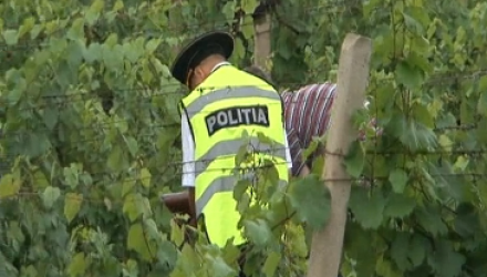 Dacă vor fi găsiți vinovați, suspecții riscă să stea la închisoare tot restul vieții.