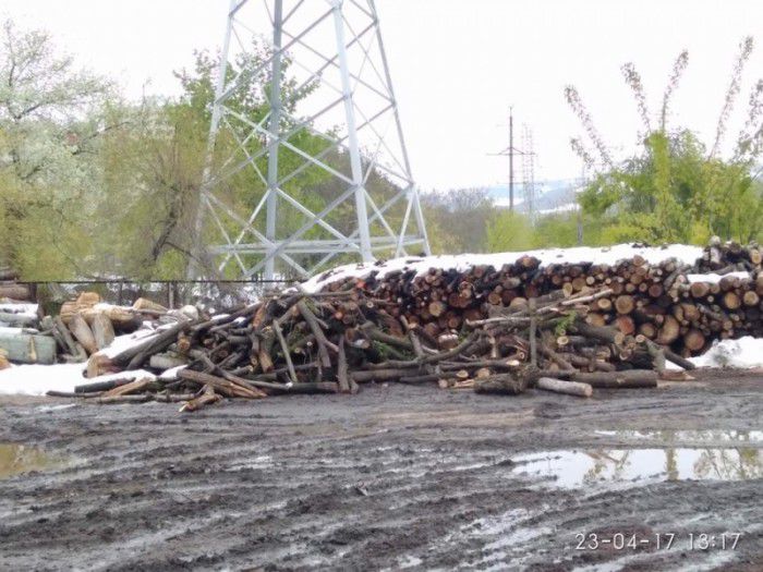 Crengile care au fost strânse din capitală în urma salubrizării au fost depozitate pe stadionul Republican din capitală. Foto: facebook/ Ion Ceban 