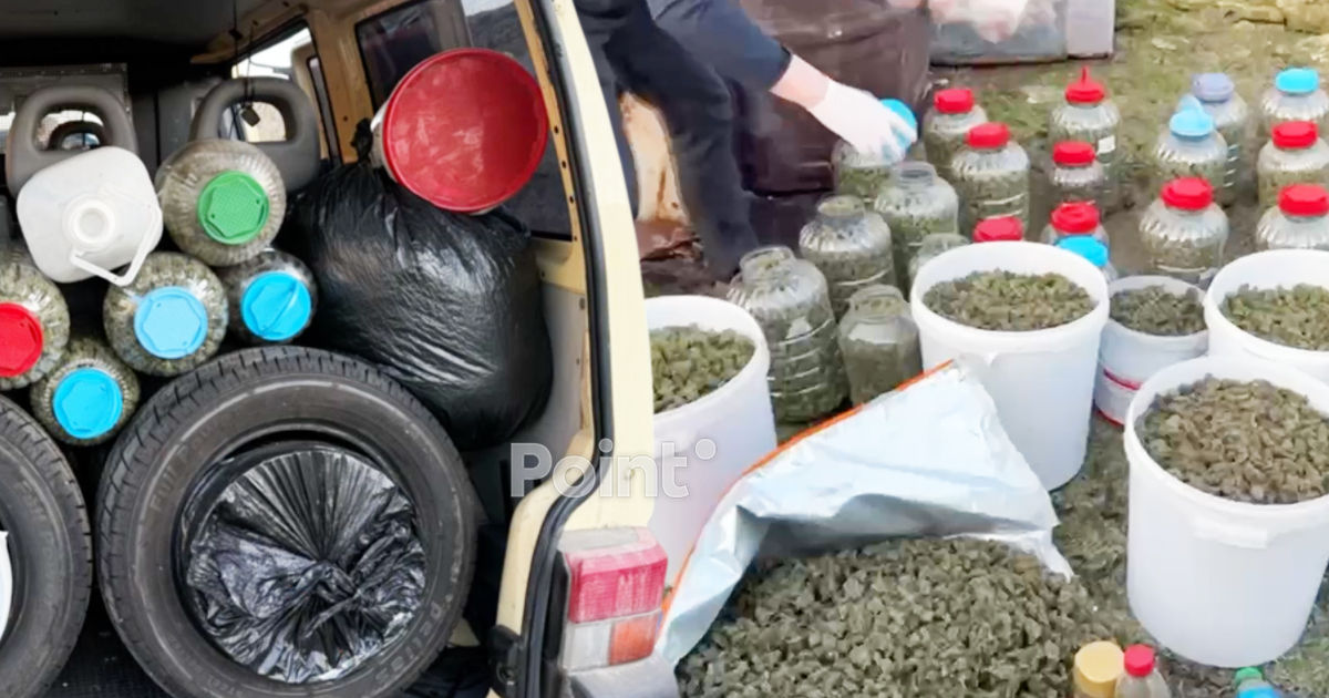 Peste 40 kg de marijuana în valoare de 14 milioane de lei, ridicate la Anenii Noi.