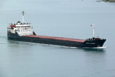 Cудно под молдавским флагом причинило морской среде в Одесской области убытков на 1 миллион долларов.