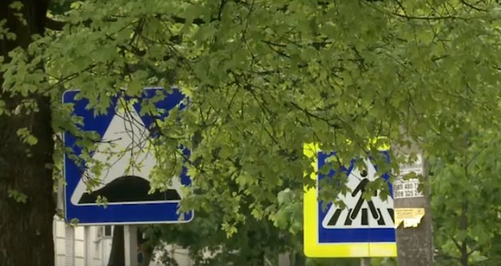 Водители жалуются, что из-за разросшихся деревьев не видно дорожных знаков.
