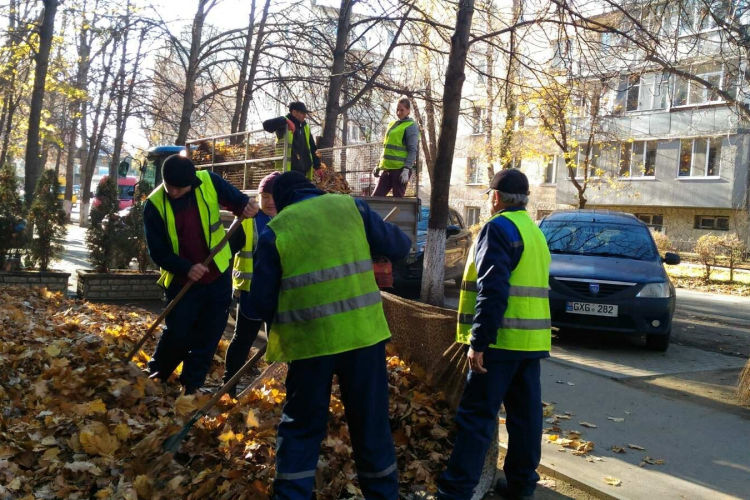 Кампания по уборке в Кишиневе: сделано 2900 рейсов по вывозу мусора.