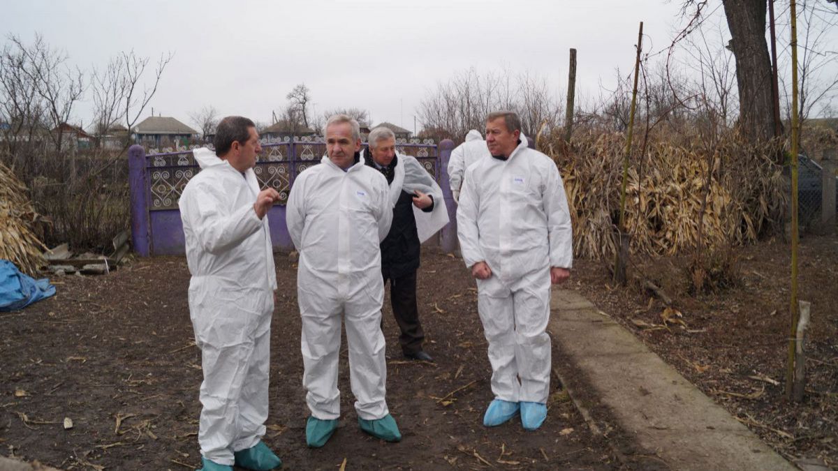 Agenția Națională pentru Siguranța Alimentelor dă asigurări că virusul va ocoli Republica Moldova. Foto: ANSA