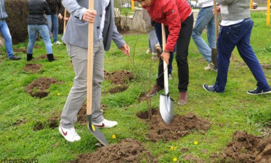 Peste cinci mii de arbori şi arbuşti au fost plantaţi astăzi în capitală.