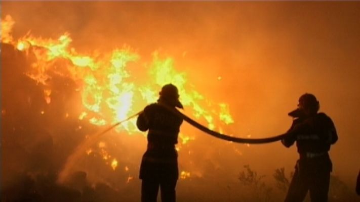 10 mii de pui au fost salvați iar 15 mii au pierit. Foto simbol: RTV.net