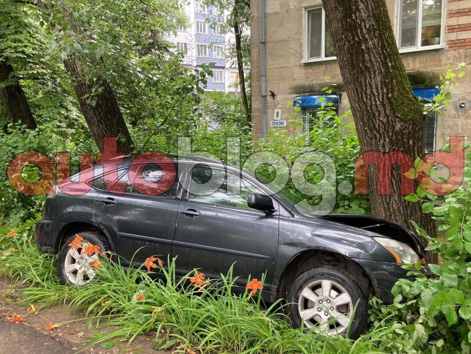 На Рышкановке водитель за рулем автомобиля Lexus врезался в дерево. Фото: autoblog.md.