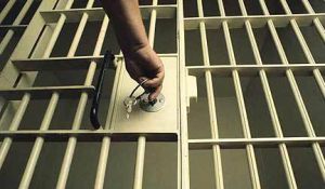 Еще одно похожее дело уже передали в суд.