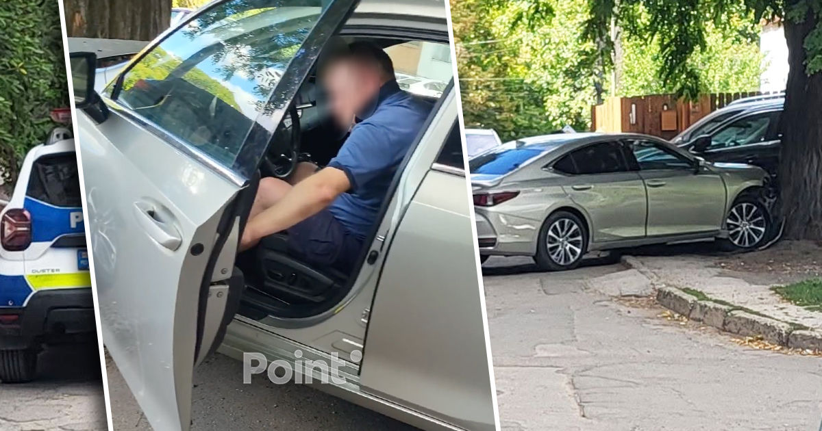 В Кишинёве водитель Lexus врезался в дерево и попал в больницу.