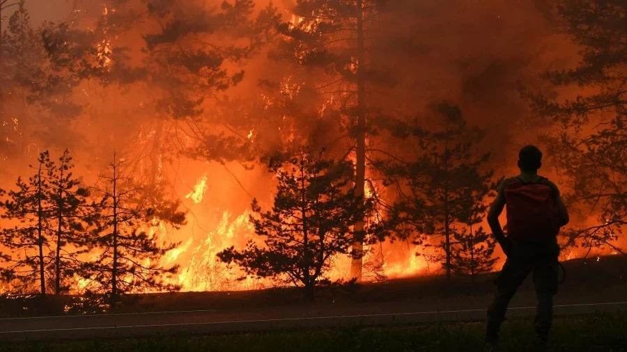37 de persoane, reținute în Spania pentru implicarea în declanșarea incendiilor de pădure.