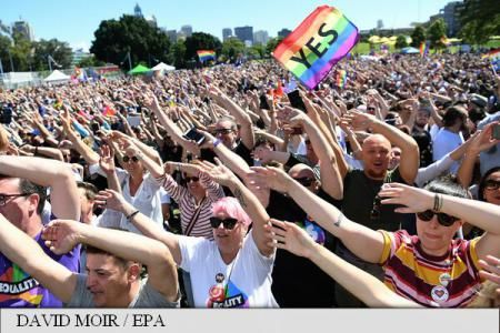 Австралия проголосовала "за" однополые браки. Фото: EPA