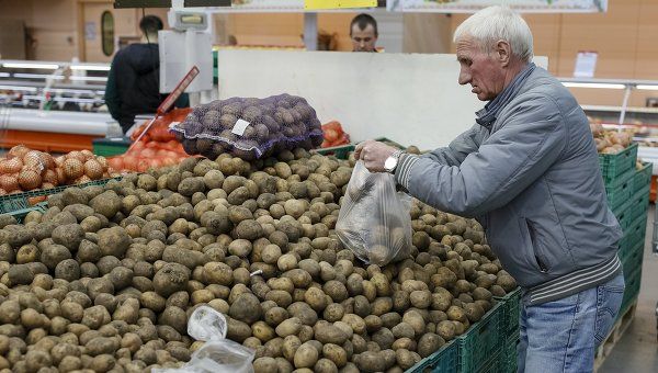 Молдова теперь импортирует 80% «зелёного» укропа и петрушки.