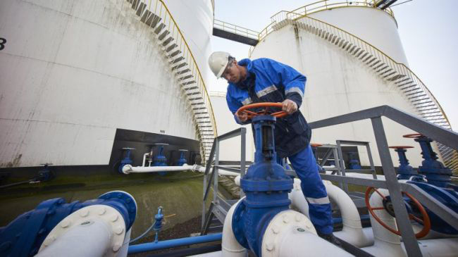 По словам Гевесслер, Евросоюз на 80% зависит от российского газа. 