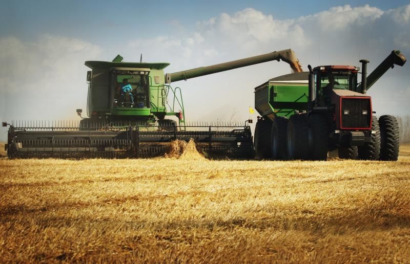 Certificate GlobalGAP: Agricultorii vor putea vinde producția în UE