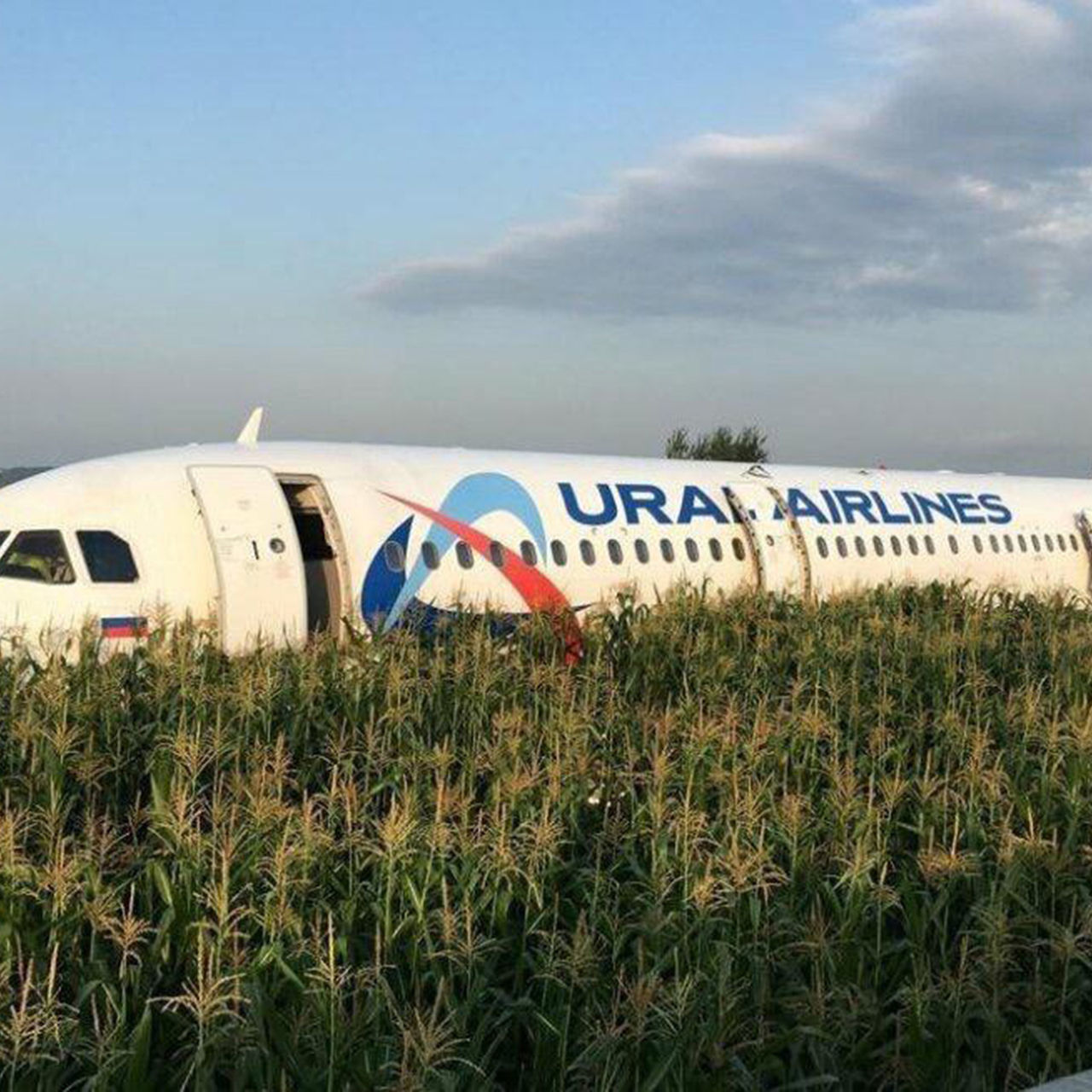 Причиной жесткой посадки А321 в Подмосковье в 2019 году стало попадание чаек в двигатели.