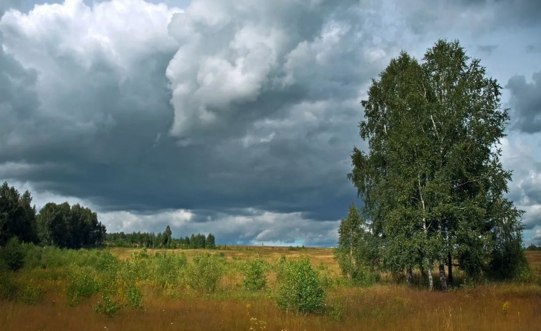 Синоптики прогнозируют неустойчивый характер погоды в воскресенье.