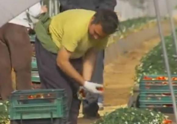 Nu fac față. Munca imigranților, prea grea pentru britanici