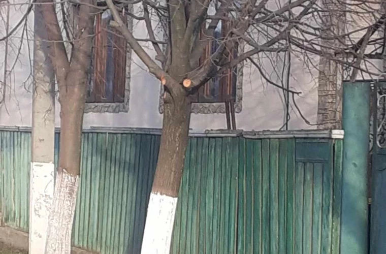 В селе Садова зафиксирован экологический инцидент.
