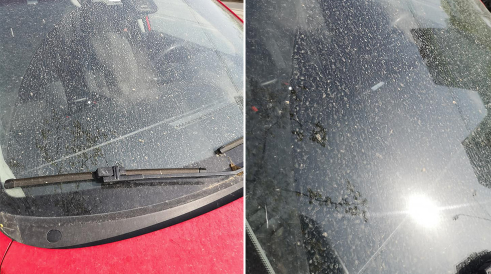 В среду утром люди обнаружили свои автомобили покрытыми желтоватым слоем пыли.