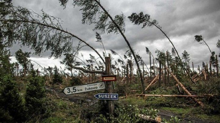 Polonia: Doi cetăţeni au murit în urma unei furtuni violente