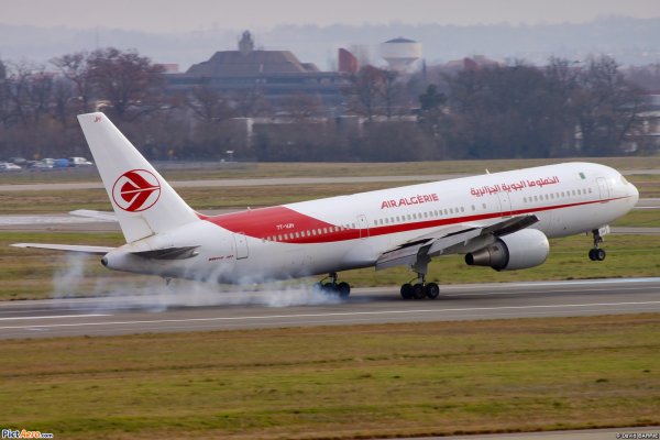 Cамолет Air Algerie с 110 пассажирами и шестью членами экипажа разбился рядом со столицей Нигера.  Фото: algerienews.info