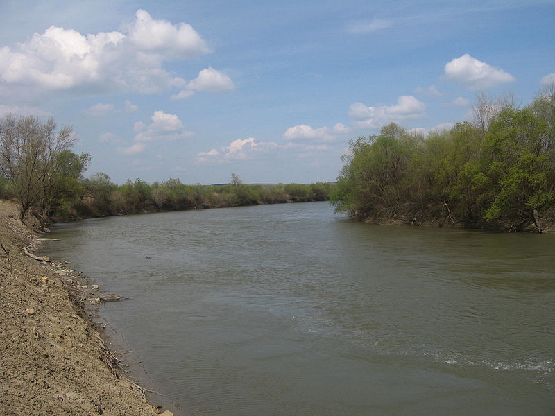 На разных участках реки Прут ожидаются перепады уровня воды.
