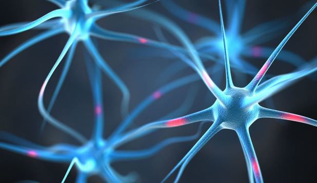 Savanţii de la Wits University au conectat un creier direct la internet. Foto: 123rf.com