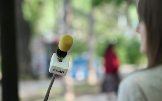 Potrivit lui Poalelungi, în Germania există „vreo cinci sau șase articole” penale ce vizează calomnia, injuria și defăimarea.