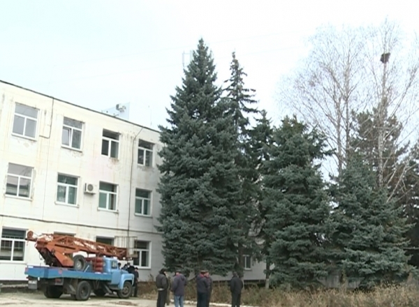 Торжественное открытие пройдет 1 декабря, тогда зажгутся все огни.