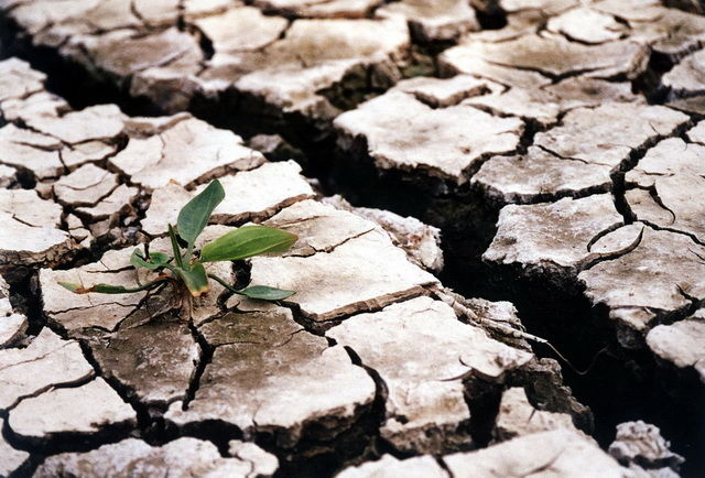Moldova va avea o vară secetoasă, cu temperaturi toride. 