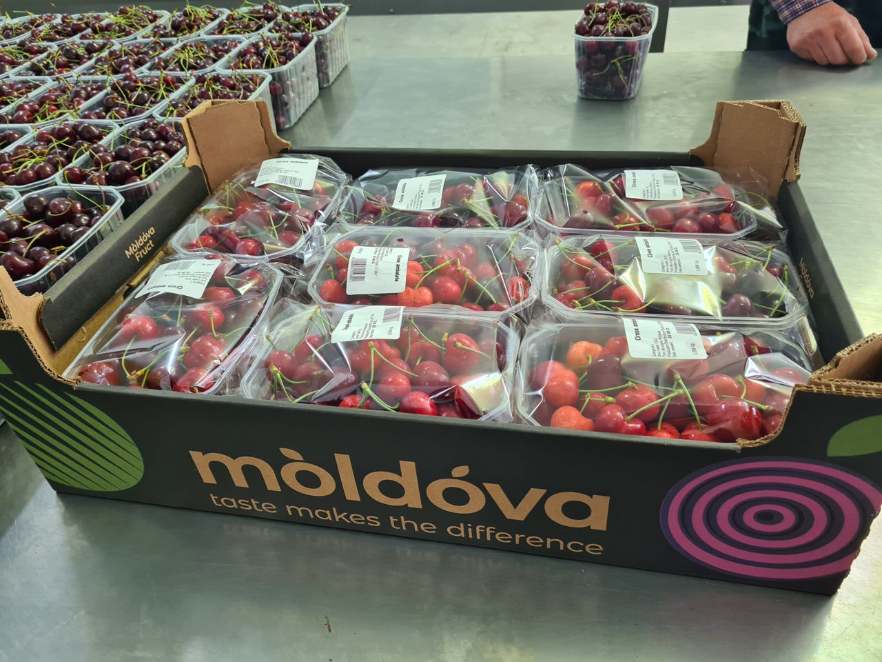 Moldova crește anual producția de cireșe cu 10%.