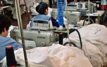 Totodată, a fost marcată reducerea nivelului producţiei în sectorul energetic