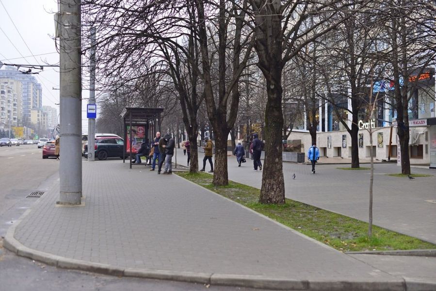 Чебан: Ремонт тротуаров на Московском проспекте на стадии завершения.