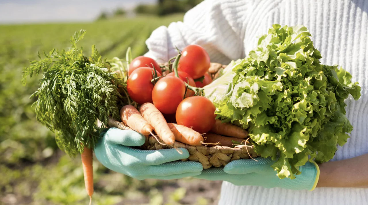 Fenomenul greenwashing amenință securitatea alimentară.