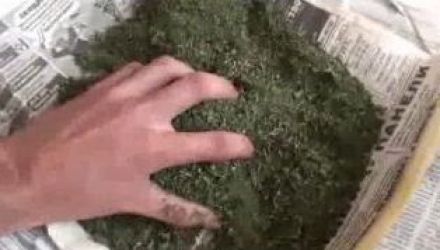 Pe cazul dat sunt acumulate toate probele în vederea intentării unei cauze penale.