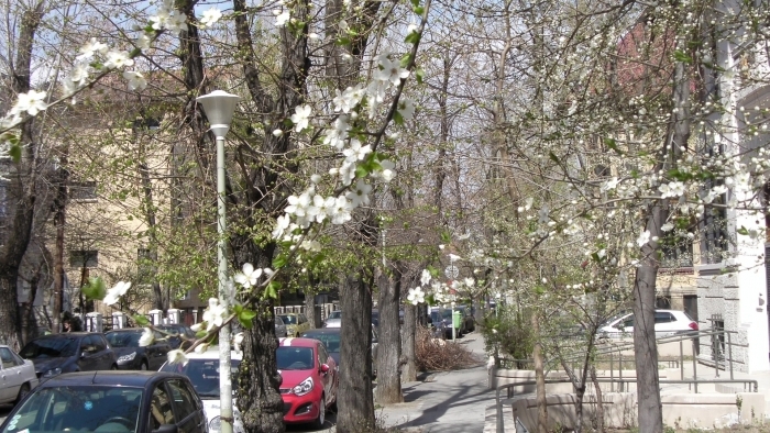 Temperatura aerului, în timpul zilei, va oscila între +5 și +9 grade, iar la mijlocul săptămînii, va înregistra valori de pînă la +10 grade