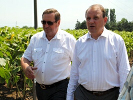 Gospodăria Nistru-Olăneşti este cel mai mare producător de seminţe din R. Moldova
