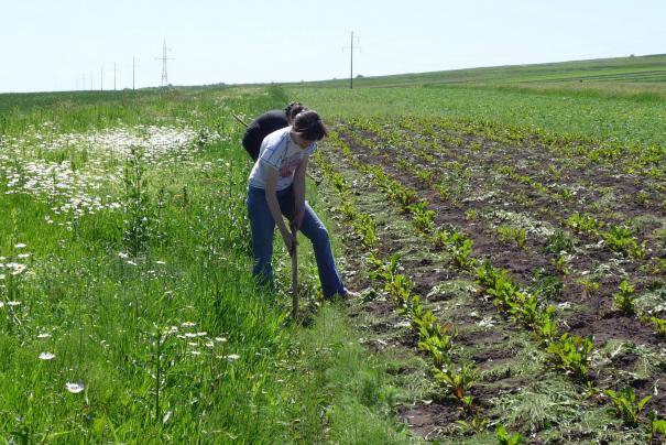 Procurorii nu sunt de acord cu verdictul instanţei de judecată
