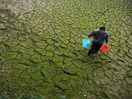 În context, situaţia pentru agenţii economici, care activează în domeniul agriculturii este destul de împovărătoare