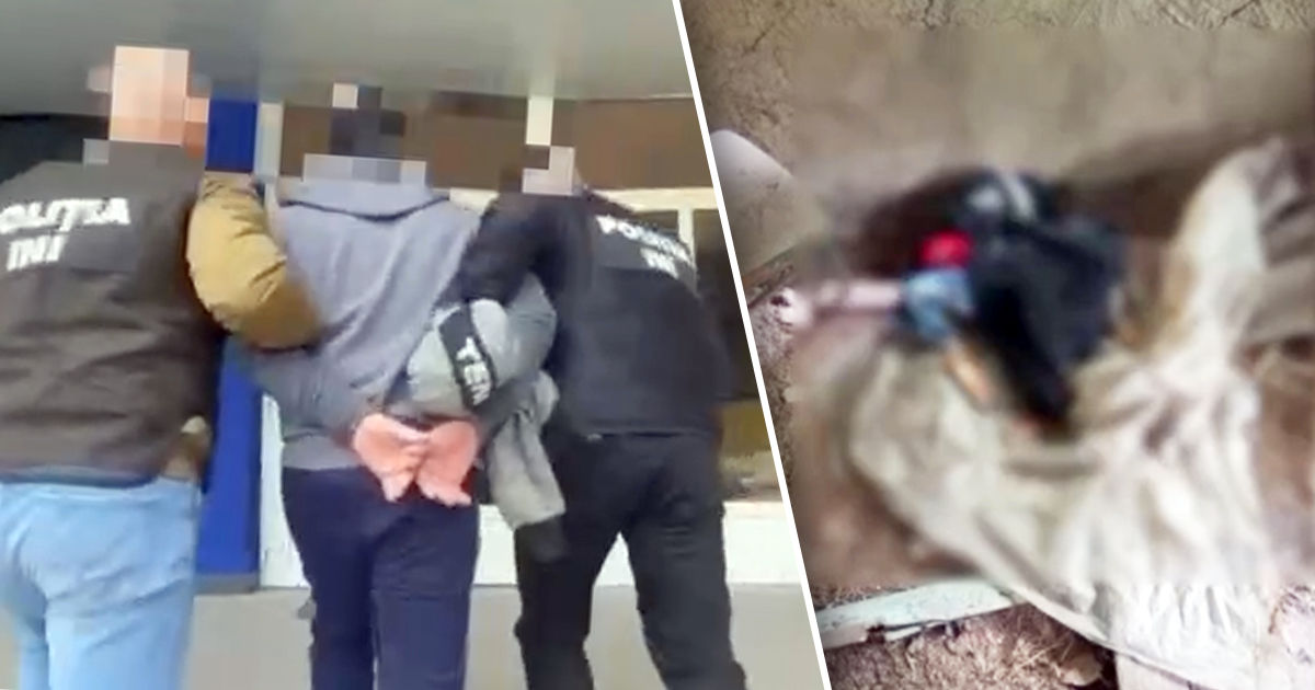 Полиция задержала подозреваемого в совершении убийства в Теленештах. Коллаж: Point.md