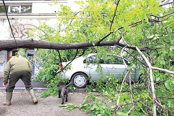 Crengile rupte continuă să provoace pagube proprietarilor de maşini. Foto simbol: click.ro