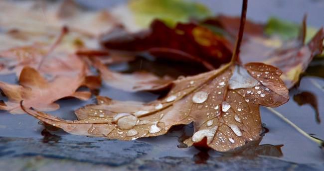 Prognozele meteorologilor pentru următoarele zile. Foto: mariustuca.ro