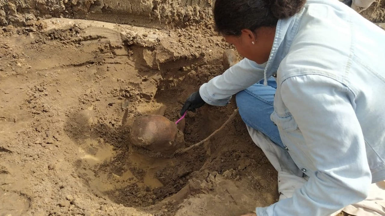 В Бразилии нашли останки охотников-собирателей, живших 10 000 лет назад.