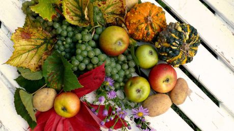 Perioada de final de vară şi început de toamnă trebuie combinată cu o alimentaţie bogată în fructe, legume şi seminţe sănătoase.