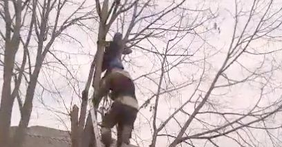 В Приднестровье спасатели помогли ребенку, застрявшему на дереве.