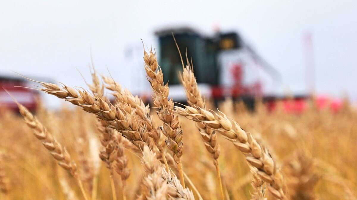 Granturi AGGRI: Ministerul Agriculturii anunță lansarea celui de-al treilea concurs.