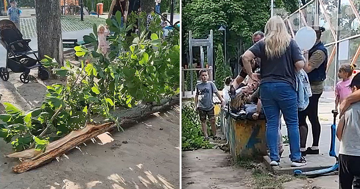 В парке Кишинева на женщину упала большая ветка.