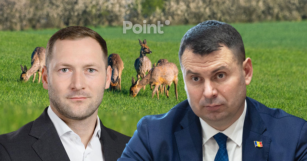 Решение Хаждера об отстреле косуль подверглось критике: Мы требуем отмены приказа.