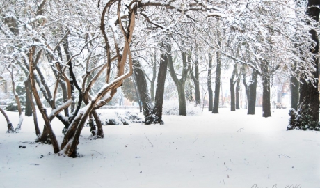 Meteorologii anunţă pentru astăzi cer variabil, fără precipitaţii. Mercurul va oscila în termometre între -8 şi -12 grade Celsius.