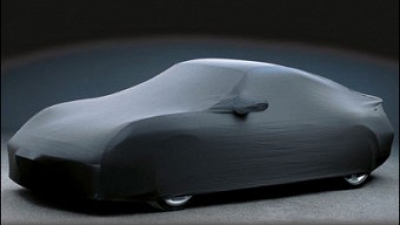 Среди претендентов на почетный приз оказались две французские модели: Peugeot 308 и Citroen C4 Picasso.  Фото: motor.ru